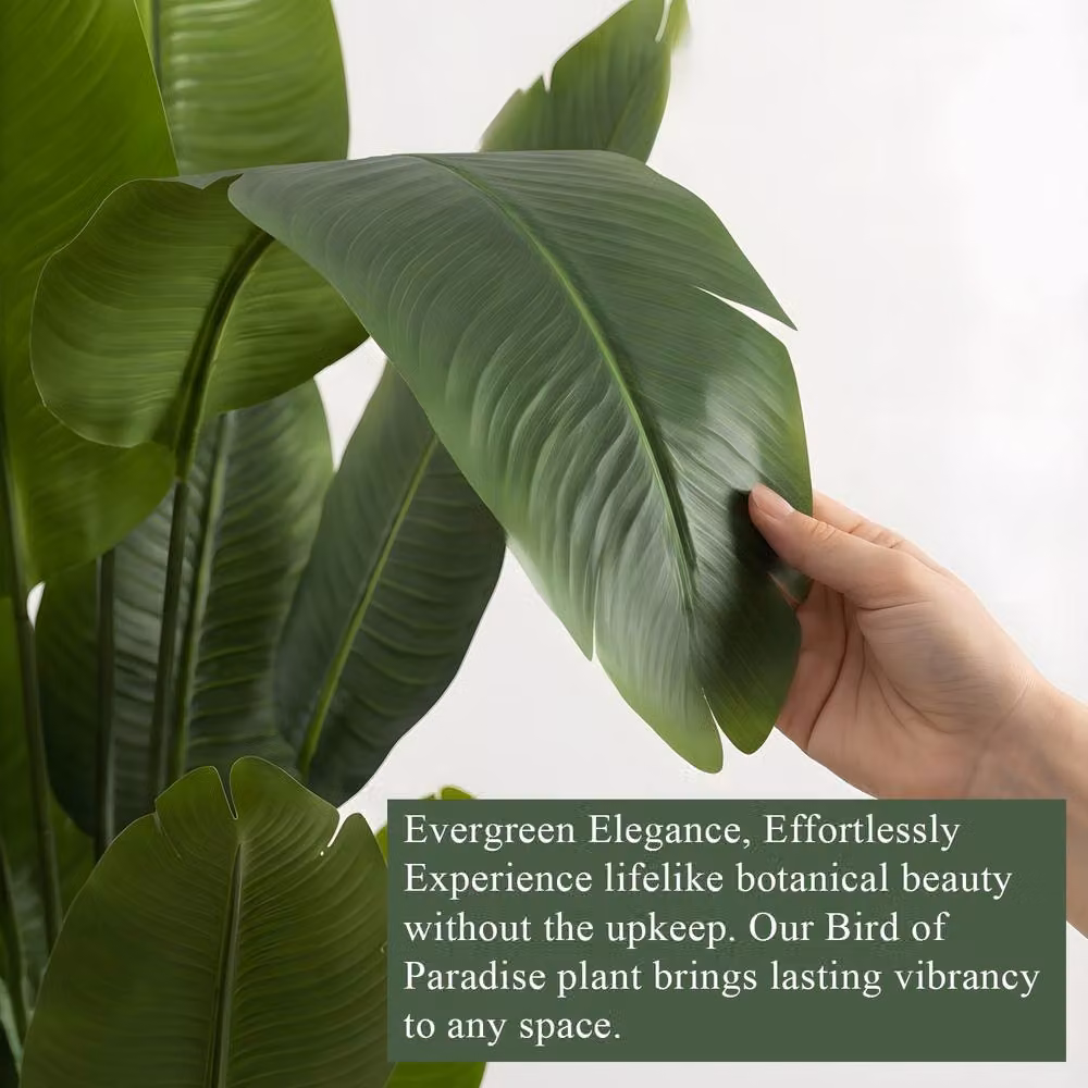CASSILANDO Lifelike Artificial Bird of Paradise Plant, Green, Height: 152.4 cm – 6