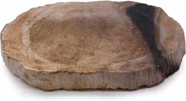 KDMD Petrified Wood Black Soap Dish in Brown Stone
