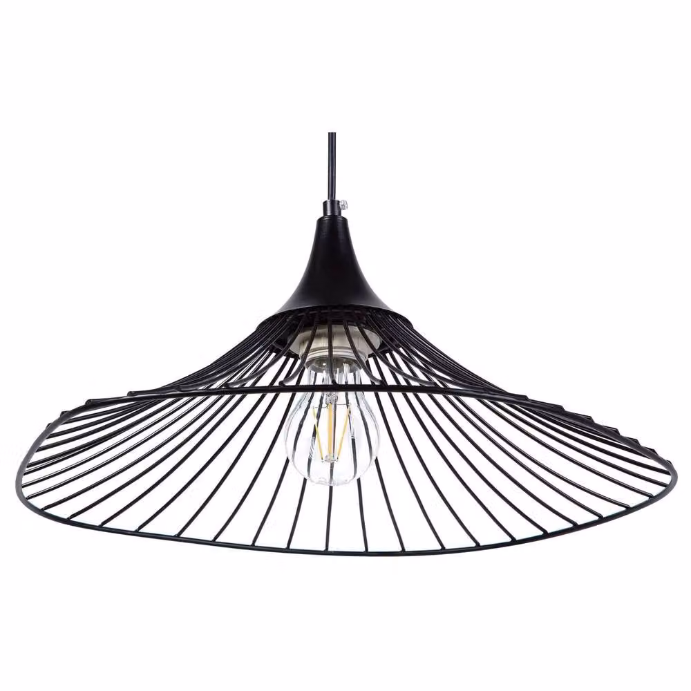 Wyld and Coco Industrial Black Metal Suspended Pendant Light – 2