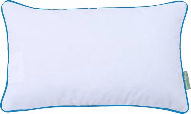 Gardenista White Rectangular Pillow with Turquoise Piping and Removable Stain Repellent Cover