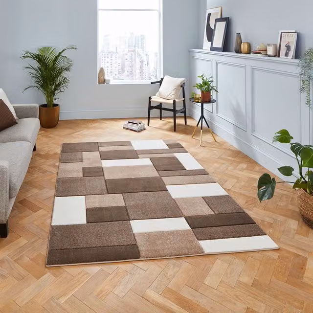 Terrys Modern Geometric Rectangular Rug in Beige and Brown