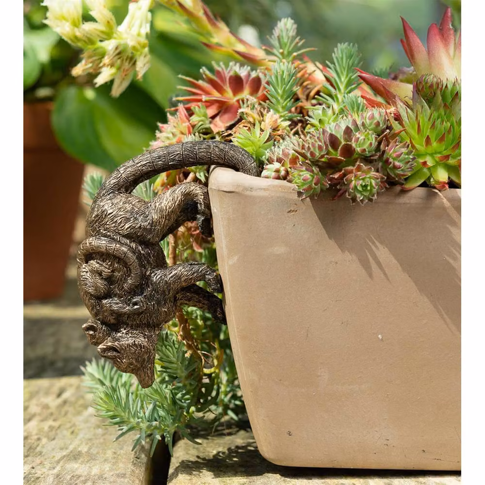 Jardinopia Lemur & Pup Hanging Plant Pot Hanger in Bronze – 3