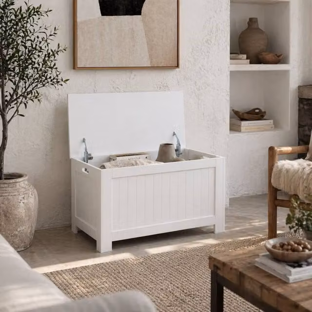 Wyld Haus Loro White Lift Top Storage Chest with Soft Close Lid