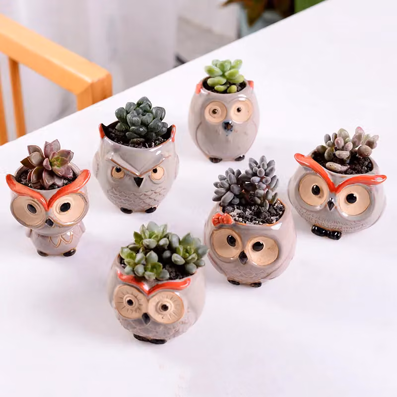 Simpa 6-Piece Comic Owl Ceramic Plant Pots with Wood Bases in Multicolour and Terracotta, H 7.3 cm x Dia 7.3 cm – 2