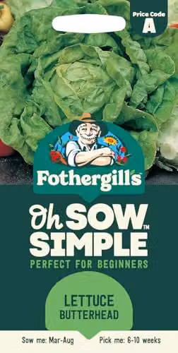 Mr Fothergill's Oh Sow Simple Butterhead Lettuce Vegetable Seeds, Green – 1