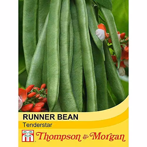 Thompson and Morgan Runner Bean Tenderstar Seeds, 30 Seeds per Packet – 2
