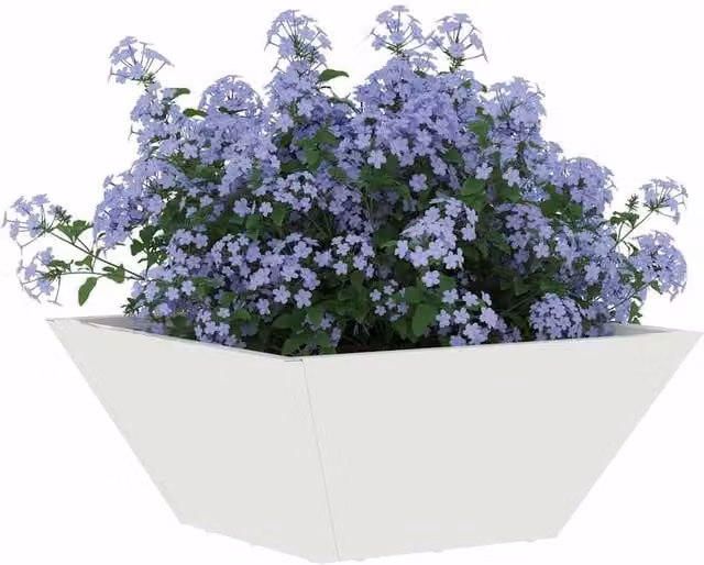 Berkfield Home White Garden Bowl Planter Steel, W/D/H: 35 x 35 x 15 cm