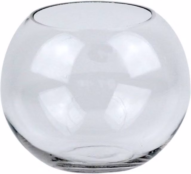 KDMD 2 Pack Clear Glass Round Fish Bowl Vase, Diameter: 12 cm