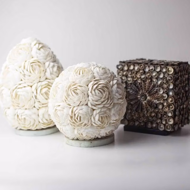 KDMK Boho Sea Shell Rose Globe Nightlight, White