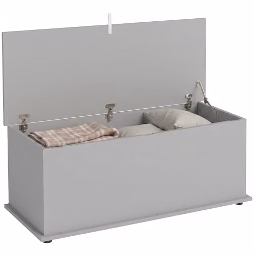HOMCOM Grey Storage Chest with Lid, W/D/H: 100 x 40 x 40 cm