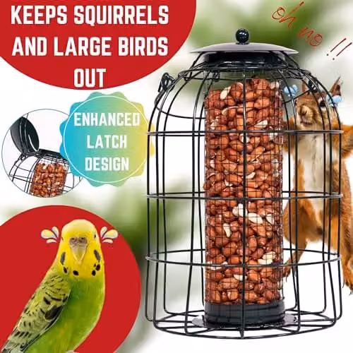 Samuel Alexander Pack of 2 Black Metal Wild Bird Hanging Nut Feeders with Squirrel Guard – 9