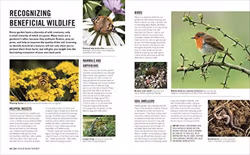 DK Grow Pests & Diseases: Essential Know-how and Expert Advice for Gardening Success – 4