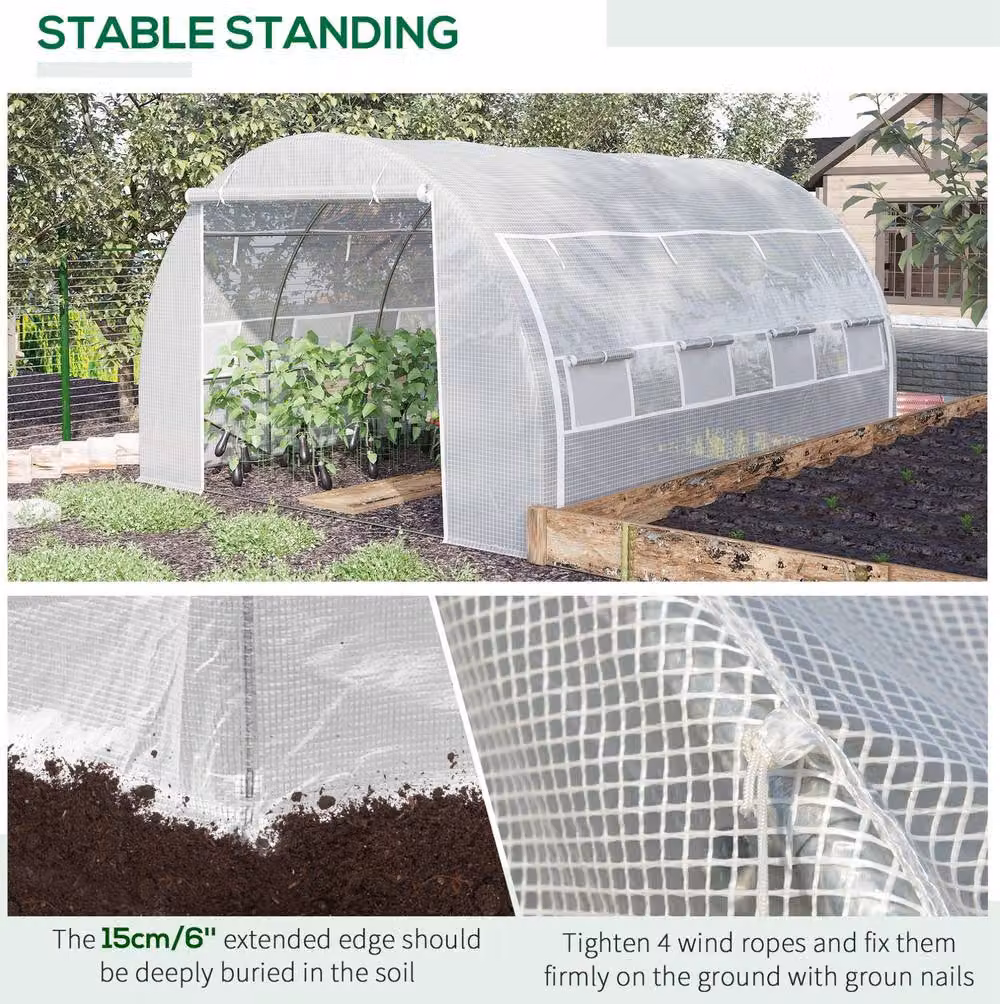 STILVORA Walk-in Greenhouse with Roll-up Sides and 8 Windows in White, W/D/H: 300 x 200 x 300 cm – 4