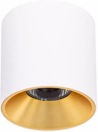 Netlighting Altisma Surface Mounted LED Downlight, Matt White and Gold, 3000K Warm White