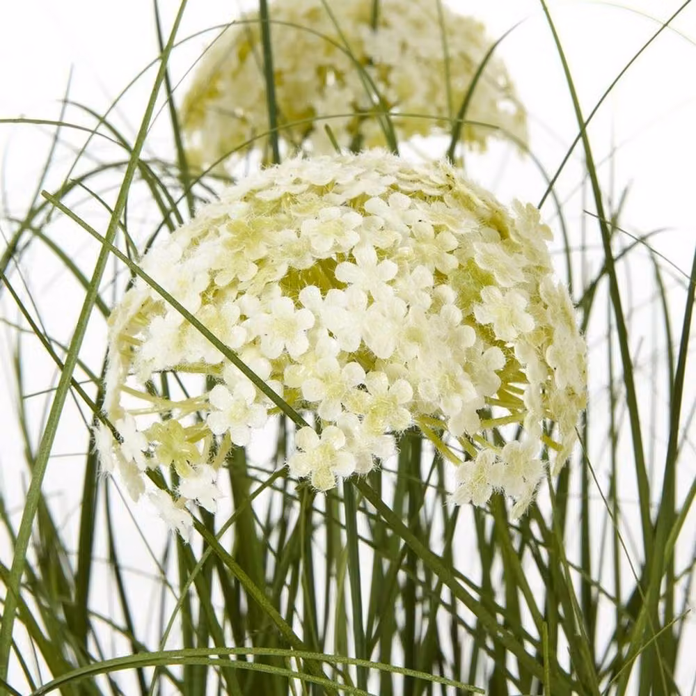 Lemon Pavilion Large Allium Potted Plant in White, Green and Black, W22 x D22 x H120 cm – 2