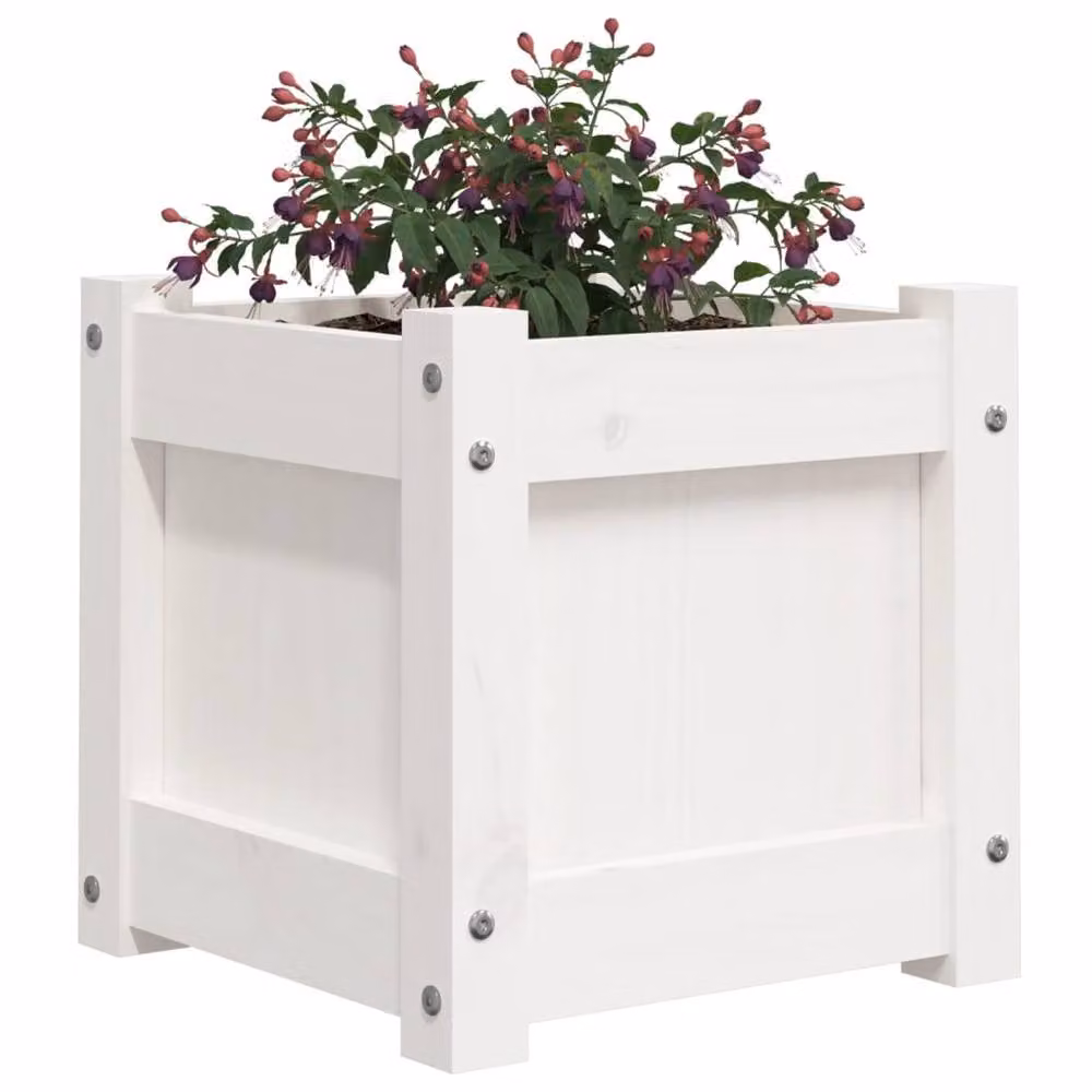Berkfield Home Beautiful Garden Planter in White Solid Wood, W/D/H: 31 x 31 x 31 cm – 3
