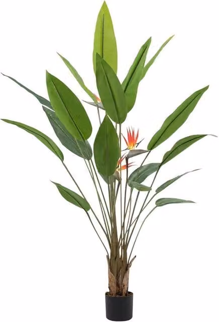 Kelvenix Large Artificial Bird of Paradise Tree in Green, Height: 180 cm – 1