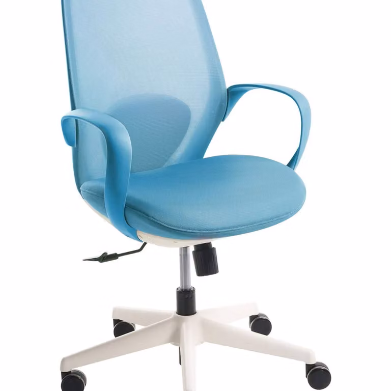 Wyld and Coco Blue Fabric Task Chair with Armrests and 360 Degree Swivel