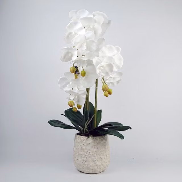 White Artificial Orchid with Round Ceramic Bubble Planter