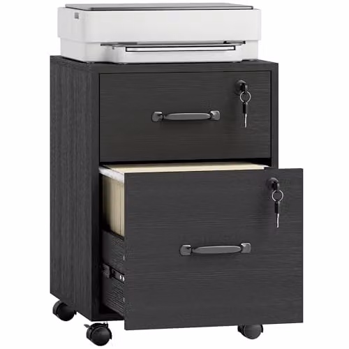 HOMCOM Rolling File Cabinet with 2 Drawers and Castors, Black – 1