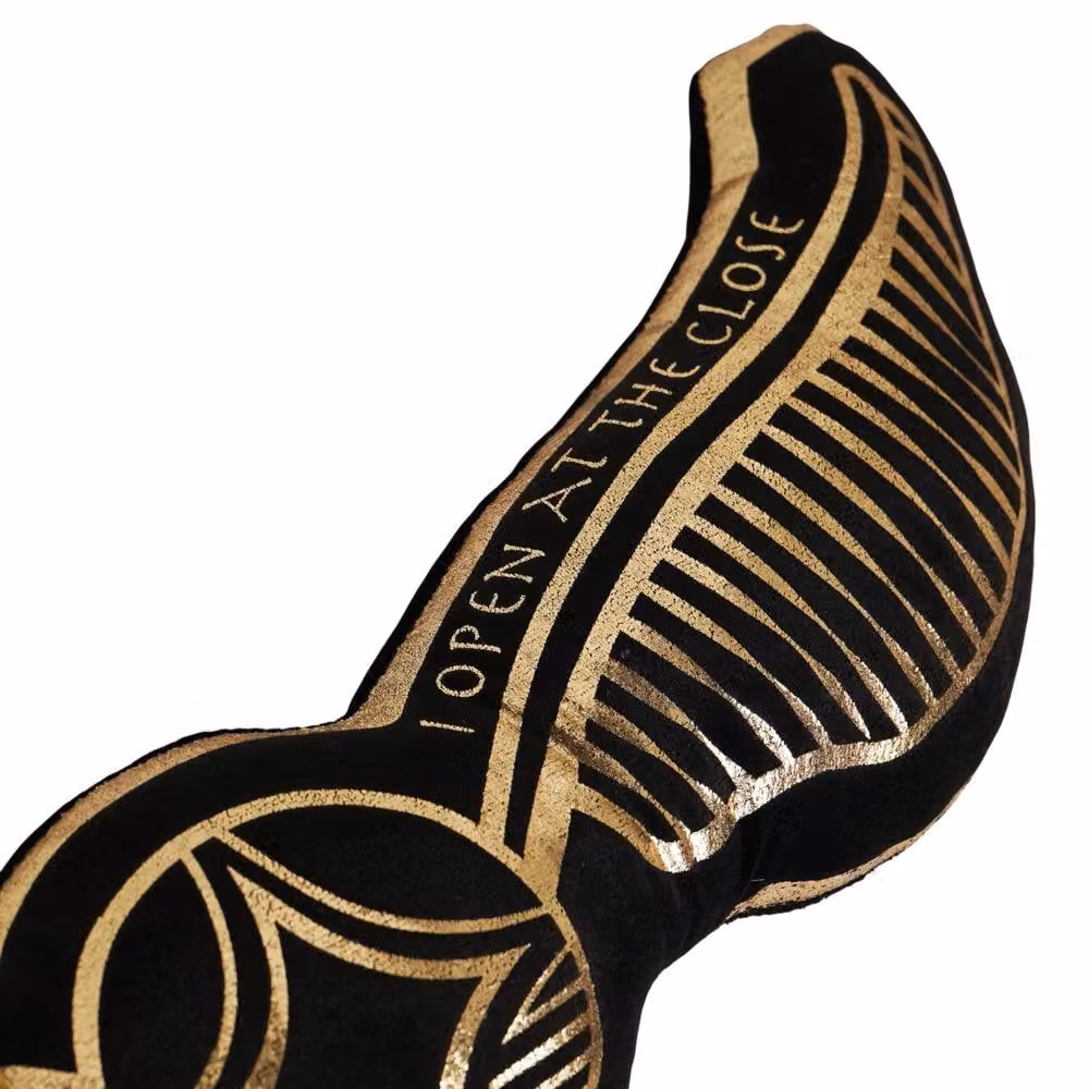Warner Bros Harry Potter Snitch Black Velvet Cushion – 2