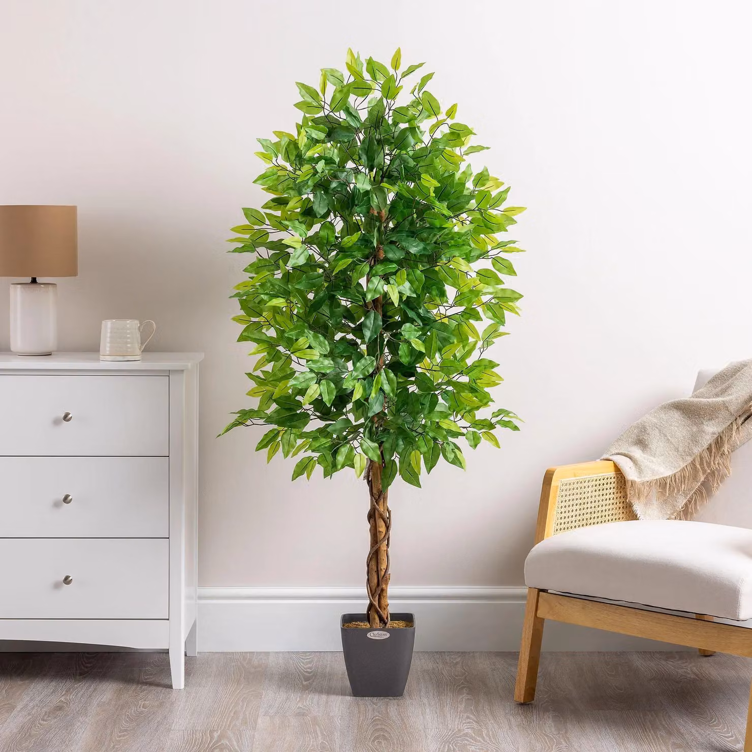 Christow Artificial Ficus Tree in Green, Height: 150 cm – 2