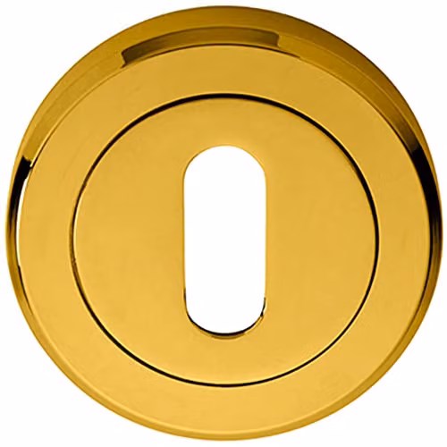 Loops 51mm Lock Profile Escutcheon with Chamfered Edge and Concealed Fix in Stainless Steel Silver or Gold – 1