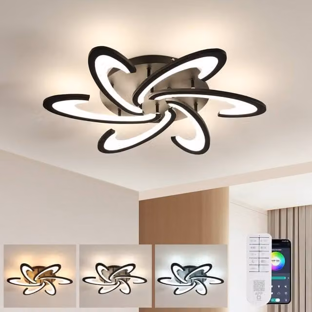 Pheashine Modern Dimmable LED Ceiling Light with Remote Control, Black Acrylic – 1