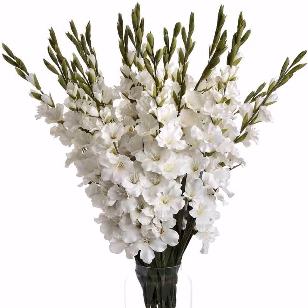 Lemon Pavilion Furniture and Decor White Artificial Gladioli Flowers, W11 x D6 x H108 cm – 3