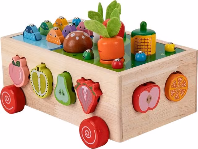 Kidkid Wooden Shape Sorter Toy Set in Brown and Multicolour