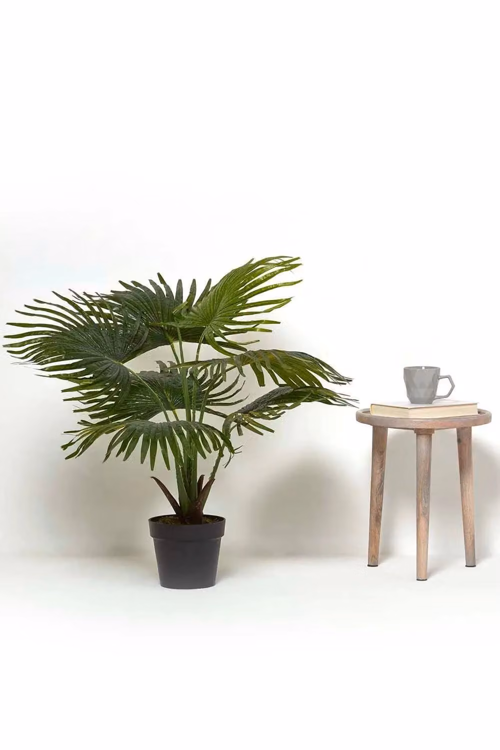Homescapes Artificial Fan Palm Tree in a Black Pot, Height: 80 cm, Green – 4
