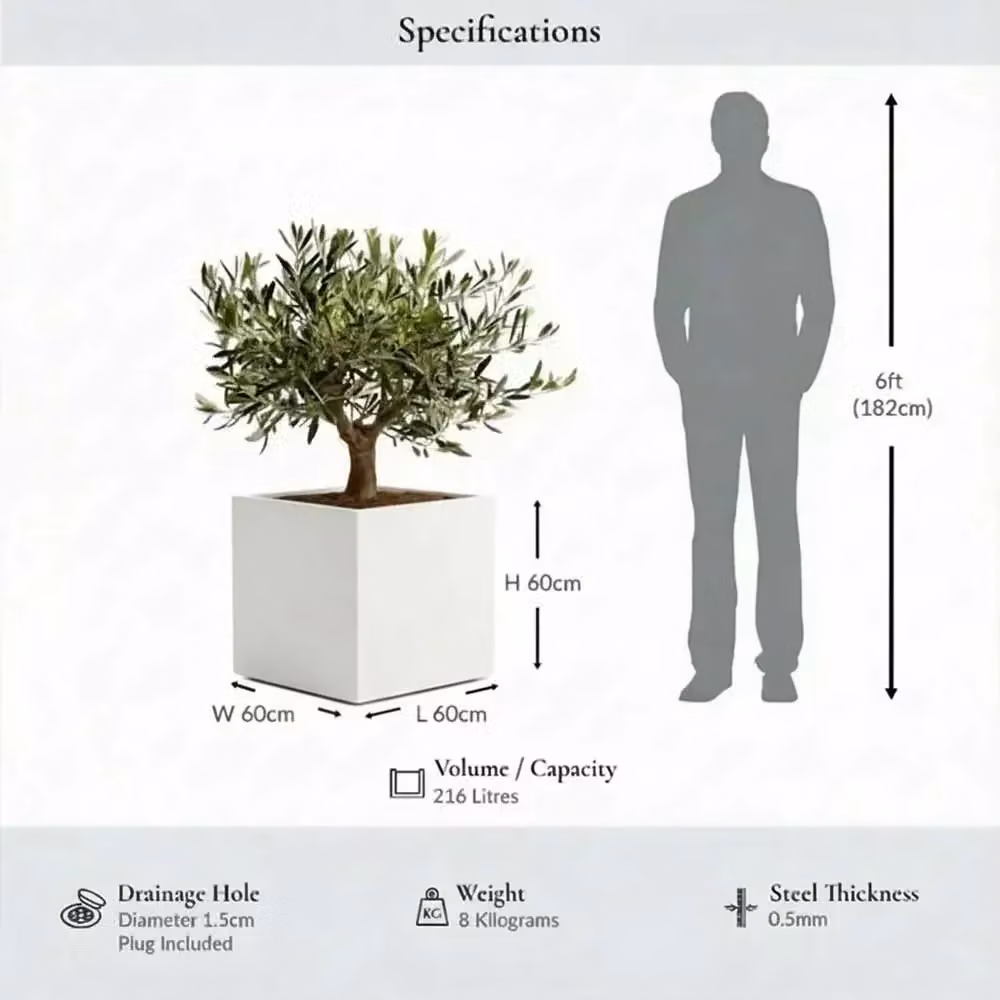 Tulipy Galvanised Steel Square Planter Tub, Matte White, W: 60 cm, D: 60 cm, H: 60 cm – 5