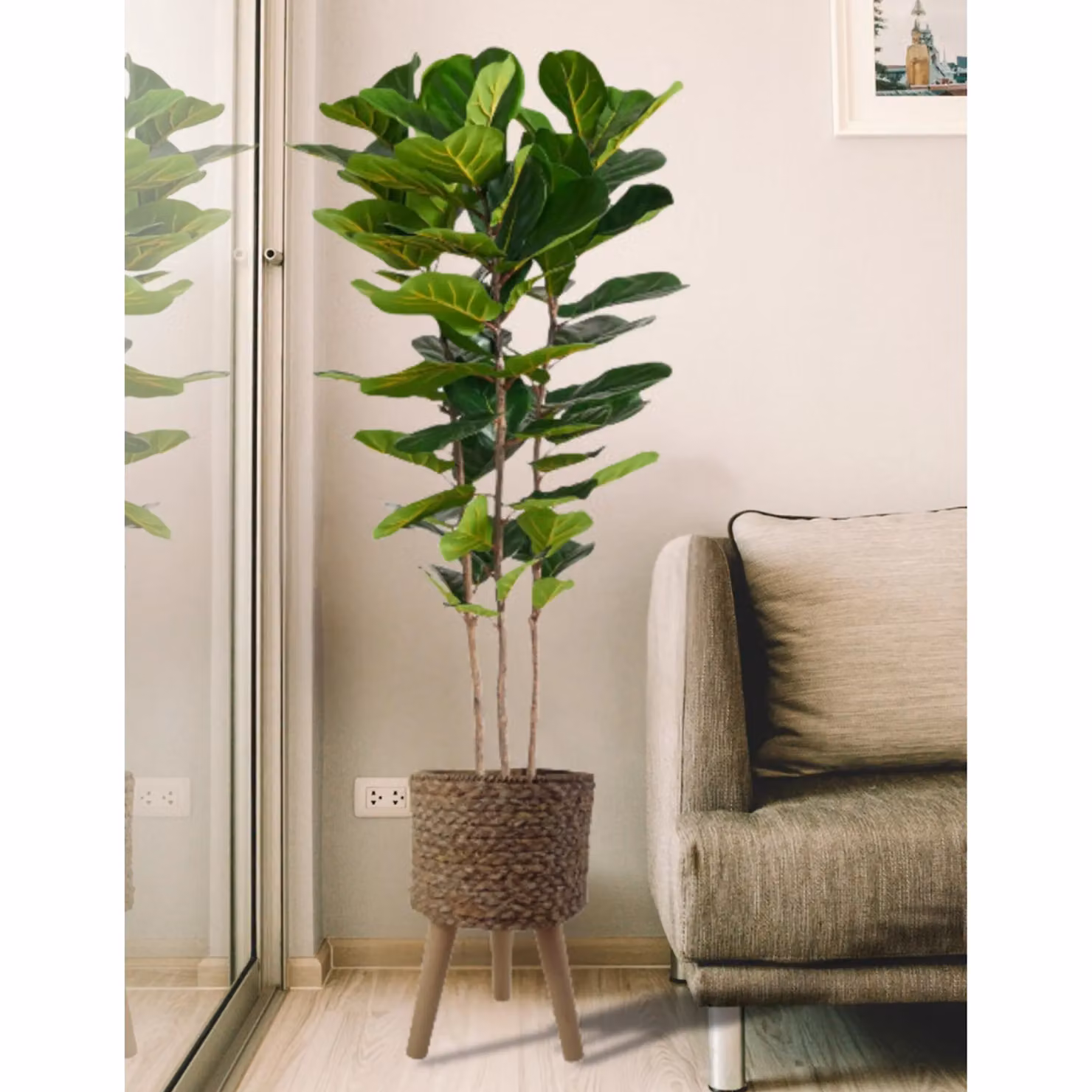Pegdev 180cm Premium Artificial Fiddle Fig Tree with Woven Effect Planter in Green – 3