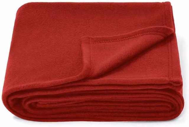 Brand Lab Red Polyester Fleece Blanket W/D: 150 x 120 cm