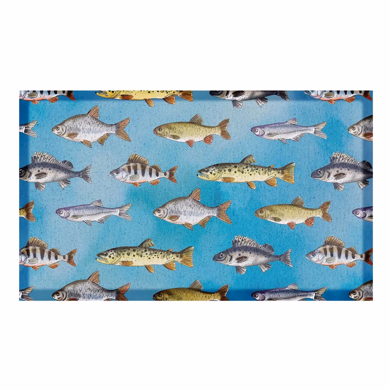 Artsy Mats Fishes Doormat in White, W/D: 70 x 40 cm – 2