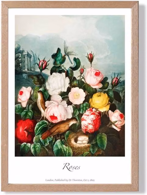 ARTZE Cottage Roses Vintage Floral Framed Print with Oak Frame in Red and Multicolour – 1