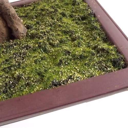 Leaf Design UK Red Acer Artificial Small Bonsai Tree, Height: 50 cm – 4
