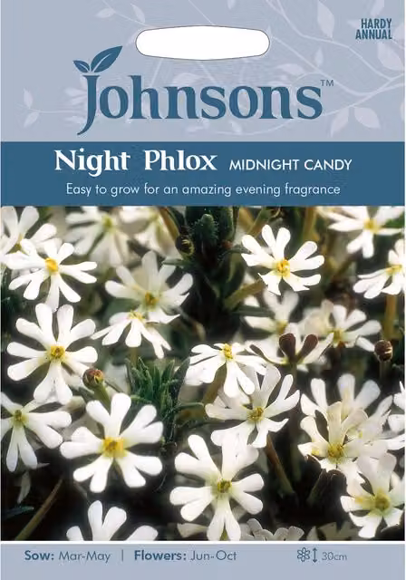 Johnsons Midnight Candy Night Phlox Flower Seeds, Red and White