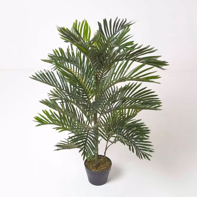 Homescapes Multi Stem Green Palm Tree in Pot, Height: 120 cm, Green