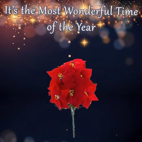 VFM e-Store 7 Head Red Poinsettia Floral Christmas Decoration, 48 cm – 4