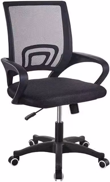 FORGEVIO Black Ergonomic Mesh Office Chair with Armrests