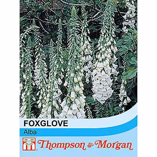 Thompson and Morgan Foxglove Alba White Flower Seeds, 150 Seeds
