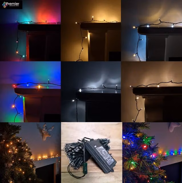 Premier Battery Operated Multi Function Outdoor LED Timer Christmas Tree Lights in Multicolour and Green