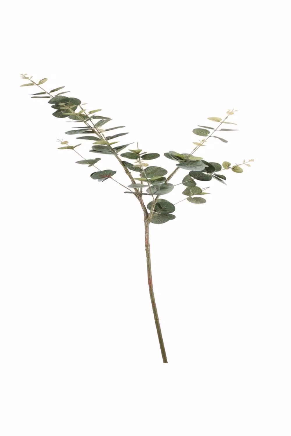 KDMD Pale Green Eucalyptus Spray, 2 Pack, Height: 92 cm – 3