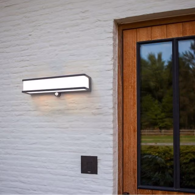 CGC Lighting Reggie Slim Solar LED Outdoor Wall Light with Motion Sensor in Dark Grey