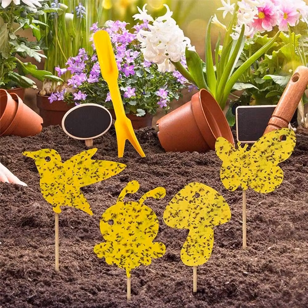 SPETLEK 69 Pack Yellow Fruit Fly and Fungus Gnat Traps for Indoor Plants and Ornamental Gardens, W/H: 100 x 15 cm – 3