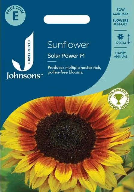 Johnsons Seeds Solar Power Sunflower Seeds, Yellow Ornamental Flower Seeds