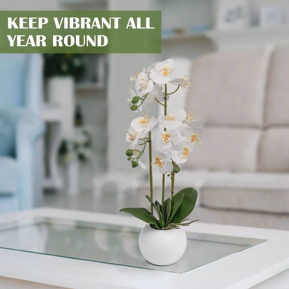 VOGREX White Potted Artificial Orchid Tabletop Floral Decor, Height: 60 cm – 2