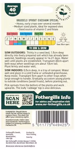 Mr Fothergill's Oh Sow Simple Brussels Sprout Vegetable Seeds, Green – 2
