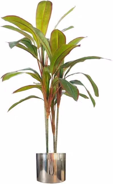 Botanik UK 90cm Artificial Dracaena Green Plant in a Moss-Covered Pot with Metal Planter